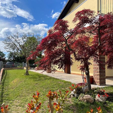 Villa Casa Giulia Monzambano Esterno foto